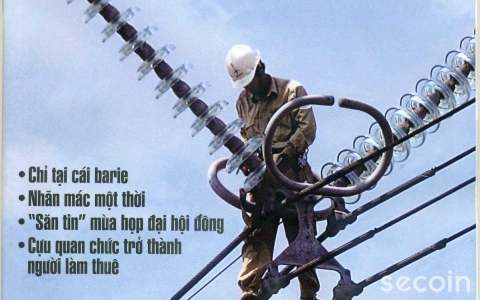 Nhìn casino trong thế giới phẳng